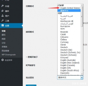 WordPress Ripro小工具显示区块受错误影响无法正常运行的3种解决方案