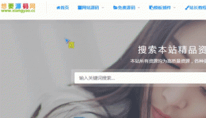 wordpress ripro主题美化网站鼠标移动特效好看网页代码图标